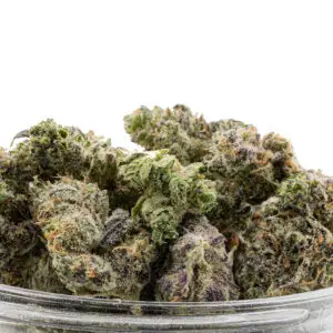 Governmint Oasis Smalls THCa Flower