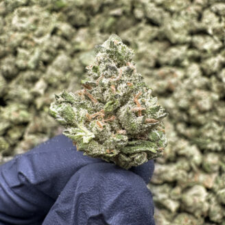 Governmint Oasis Smalls THCa Hemp Flower Exotic