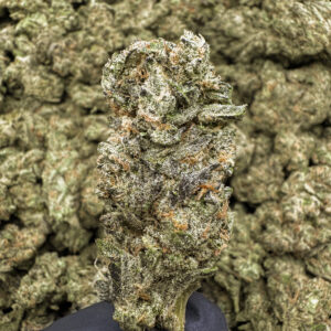 Governmint Oasis THCa Hemp Flower Exotic