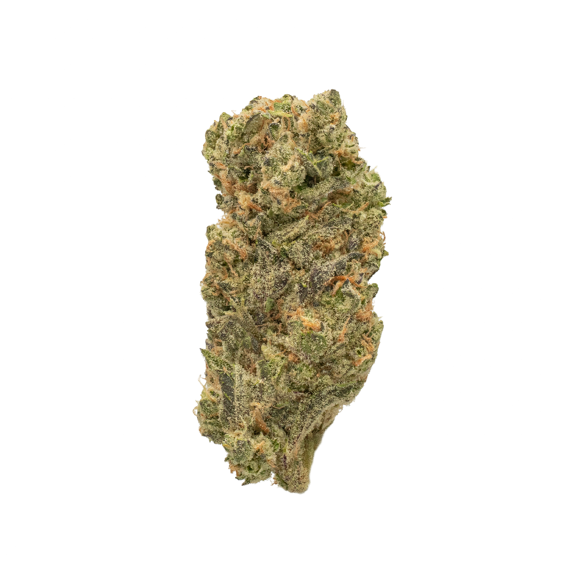 Governmint Oasis THCA flower — High Hippy
