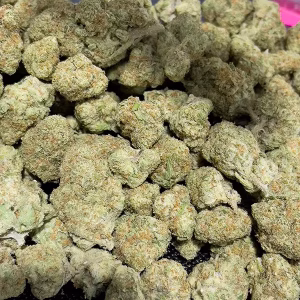 Hawaiian Haze Sativa Strain - THCa Flower – 32.11% - Exotic @ HighHippy.com