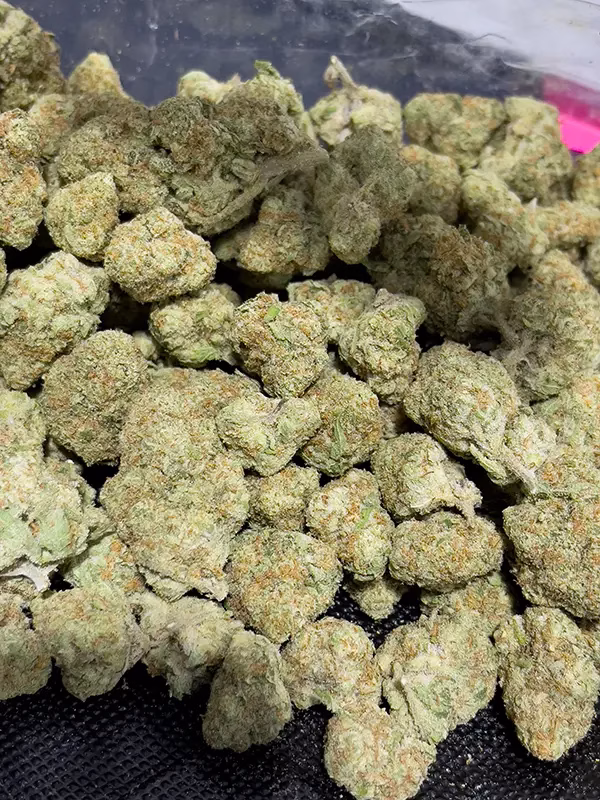 Hawaiian Haze Sativa Strain - THCa Flower – 32.11% - Exotic @ HighHippy.com