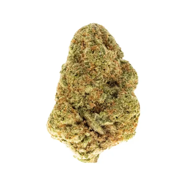 Hawaiian Haze - Sativa Strain - 32.11% THCa Flower - Exotic @ HighHippy.com