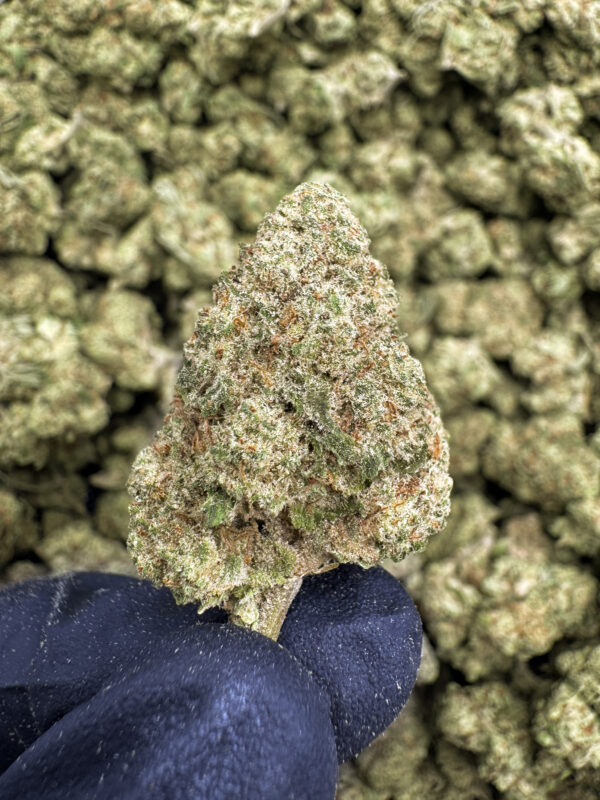 Hawaiian Haze THCa Hemp Flower Exotic
