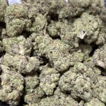 Ace Of Spades - Hybrid Strain - Exotic / Indoor - 30.69% THCa @ HighHippy.com