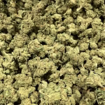 Gelato Runtz (S) - 26.29% THCa - EX - Image 2