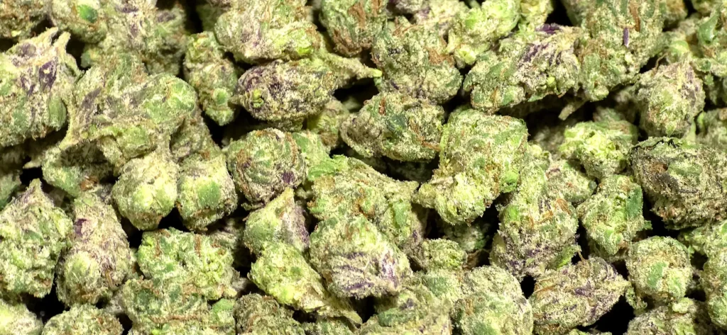 Jet Fuel - Sativa Strain - THCa Smalls - 27.15% @ HighHippy.com - FREE OVERNIGHT SHIPPING!