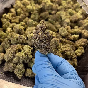 Krystal Kush #2 - Sativa Strain - 26.59% THCa Flower - Light Dep @ HighHippy.com - Free OVERNIGHT Shipping!