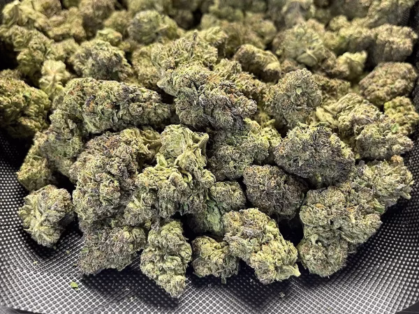 Krystal Kush #2 - Sativa Strain - 26.59% THCa Flower - Light Dep @ HighHippy.com - Free OVERNIGHT Shipping!Krystal Kush #2