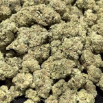 LA Punch - 33.55% THCa - EX - Image 2
