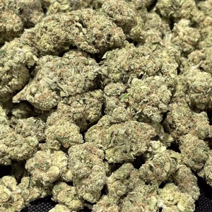 LA Punch - 33.55% THCa - EX - Image 2