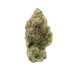 Lemon Cake THCa Flower HighHippy