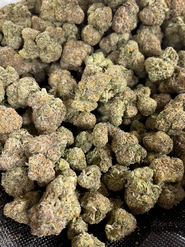 Lemon Cake - Sativa Strain - THCa Flower - 30.73% @ HighHippy.com - Free OVERNIGHT Shipping!Lemon Cake - Sativa Strain - THCa Flower - 30.73% @ HighHippy.com - Free OVERNIGHT Shipping!