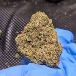 Lemon Lightning - Sativa Strain - High Potency Flower - 40.88% THCa @ HighHippy.com - FREE OVERNIGHT DELIVERY