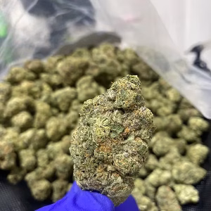 Mafia Funeral - Indica Strain - THCa Smalls - 31.06% - Exotic @ HighHippy.com