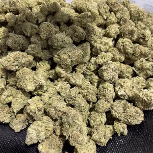Mafia Funeral - Indica Strain - THCa Smalls - 31.06% - Exotic @ HighHippy.com