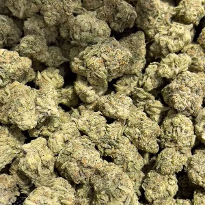 Mafia Funeral - Indica Strain - THCa Flower - 31.06% - Exotic @ HighHippy.com