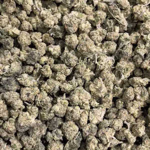 Mafia Funeral - Indica Strain - THCa Smalls - 31.06% - Exotic @ HighHippy.com