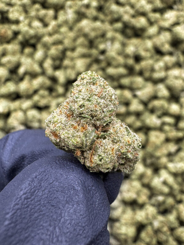 Maui Wowie Smalls THCa Hemp Flower