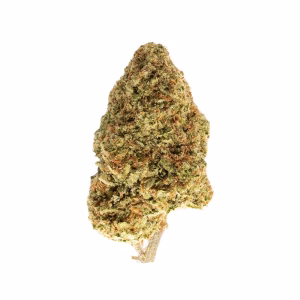 Maui Wowie THCa Flower Sativa