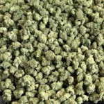 Maui Wowie - Sativa Strain - THCa Smalls - 31.39% - Exotic @ HighHip[py.com