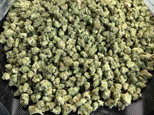 Maui Wowie - Sativa Strain - THCa Smalls - 31.39% - Exotic @ HighHip[py.com