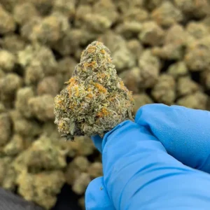 Memory Loss – Sativa Strain – High THCa Flower – 42.37% – 3.5g @ HighHippy.com – Fast Shipping!