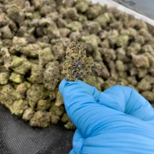 Money Maker Indica - High Potency Strain - 37.98% THCa @ HighHippy.com 4 Free Overnight Shipping!