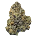 Money Maker THCa Flower Indica