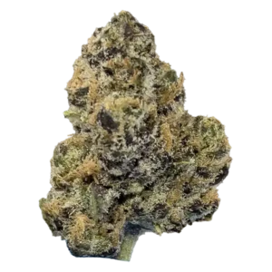 Money Maker THCa Flower Indica