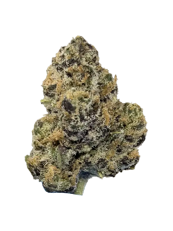 Money Maker THCa Flower Indica Money Maker THCa Flower Indica