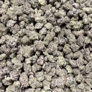 OG Kush - THCa Smalls - Indica Strain - 30.20% @ HighHippy.com - Fast Shipping!