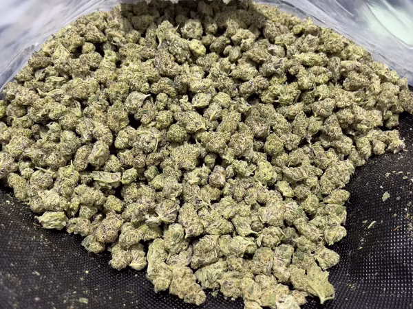 OG Kush - THCa Smalls - Indica Strain - 30.20% @ HighHippy.com - Fast Shipping!