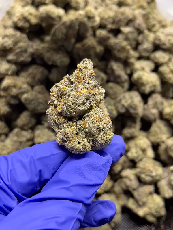 OGKB - Indica Strain - High Potency THCa Flower - 40.6% @ HighHippy.com - FREE OVERNIGHT SHIPPING!