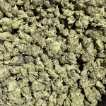 Oaksterdam - Indica - THCa Smalls - Cheap Ounces - 32.07% @ HighHippy.com - FREE OVERNIGHT SHIPPING!