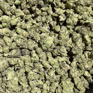 Oaksterdam - Indica - THCa Smalls - Cheap Ounces - 32.07% @ HighHippy.com - FREE OVERNIGHT SHIPPING!