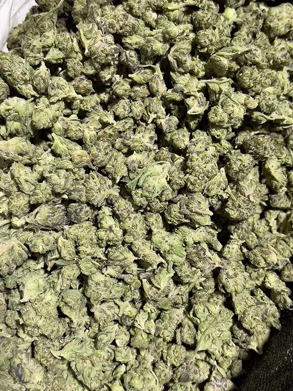 Oaksterdam - Indica - THCa Smalls - Cheap Ounces - 32.07% @ HighHippy.com - FREE OVERNIGHT SHIPPING!