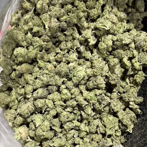 Oaksterdam - Indica - THCa Smalls - Cheap Ounces - 32.07% @ HighHippy.com - FREE OVERNIGHT SHIPPING!