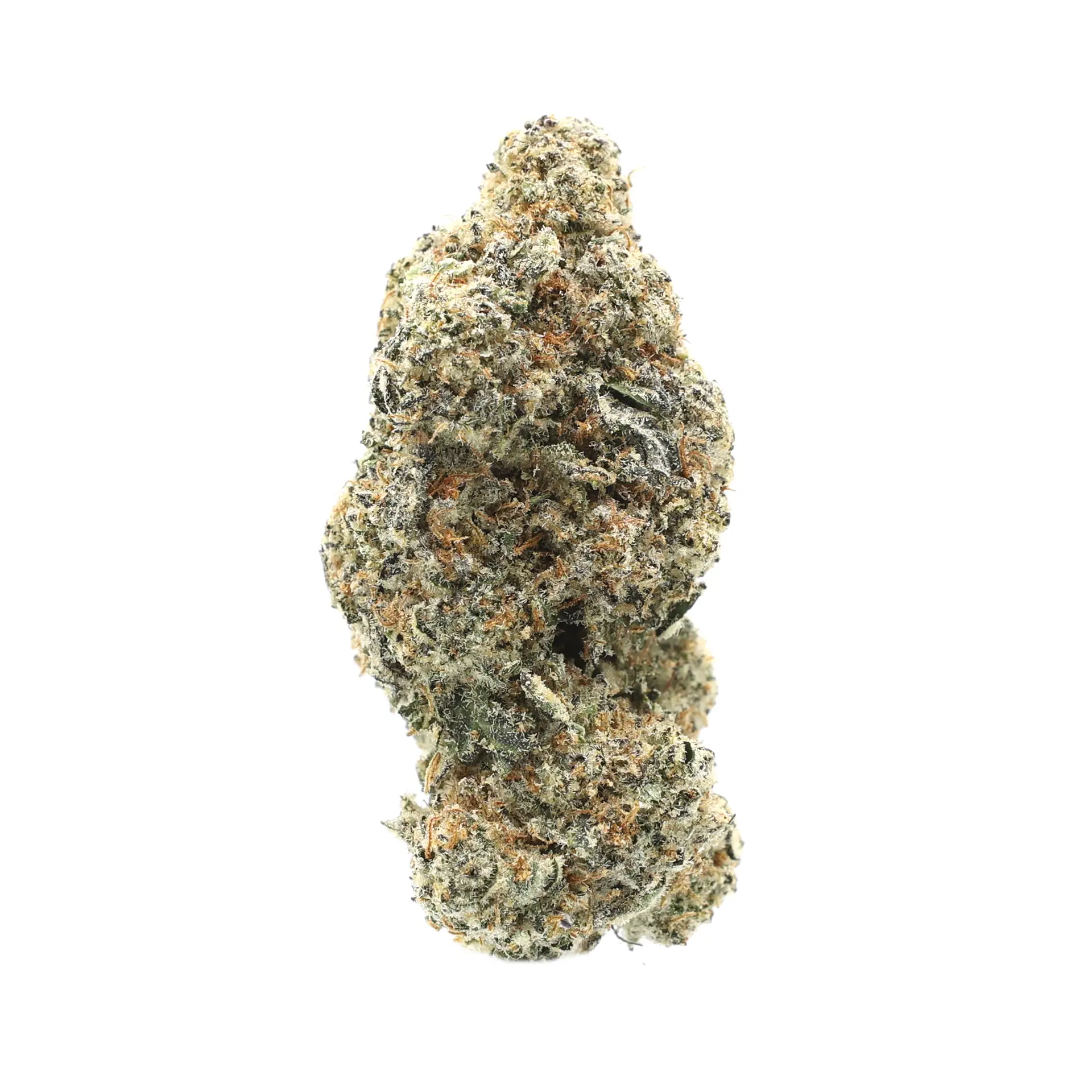 Oreo Blizzard THCa Flower HighHippy