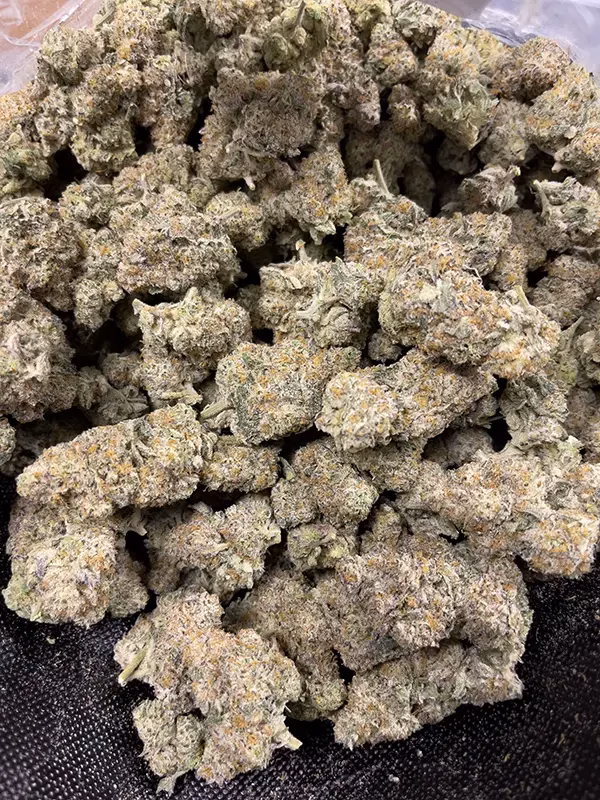 Oreo Blizzard – Indica Strain – THCa Flower – 31.23% – 3.5g @ HighHippy.com - Fast Shipping!