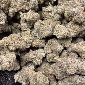 Oreo Blizzard – Indica Strain – THCa Flower – 31.23% – 3.5g @ HighHippy.com - Fast Shipping!