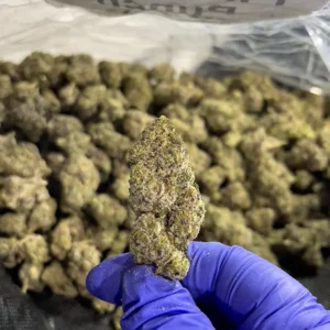 Pineapple Punch - Sativa Strain - High THCa Smalls - 41.87% @ HighHippy.com - Free Overnight Shipping!