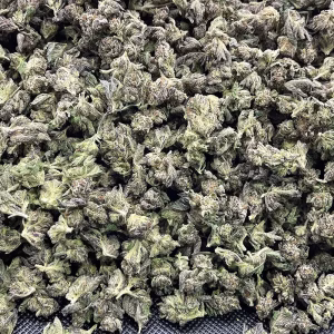 Purple Haze Smalls THCa Flower — Sativa — 32.62% — Exotic - Image 1