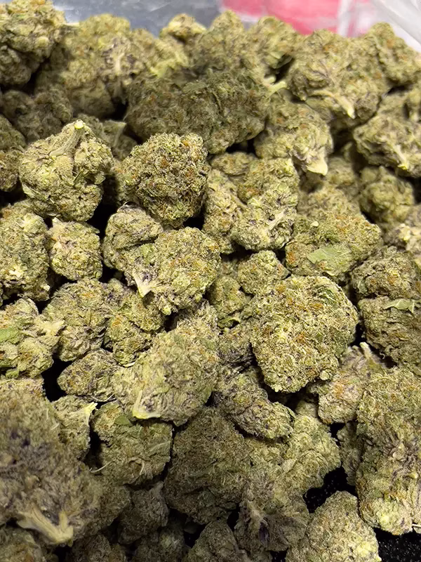 Purple Haze Sativa Strain - THCa Smalls - $100/Oz - Free OVERNIGHT Shipping @ HighHippy.com