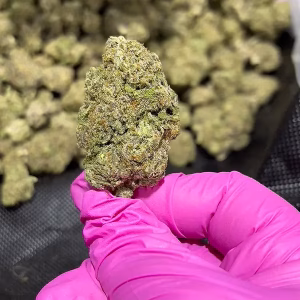 Purple Haze Sativa Strain - THCa Smalls - $100/Oz - Free OVERNIGHT Shipping @ HighHippy.com