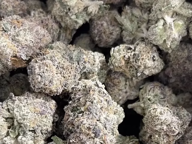 Purple Kush vs Pineapple Express THCa @ HighHippy.com Blogs - Experts at $100 Ounces & FREE Overnight Shipping