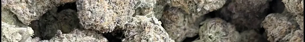 Purple Kush vs Pineapple Express THCa @ HighHippy.com Blogs - Experts at $100 Ounces & FREE Overnight Shipping