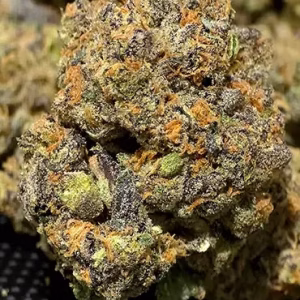 Purple Panty Dropper - Indica - High Potency THCa Flower - 37.46% @ HighHippy.com - FREE OVERNIGHT SHIPPING!