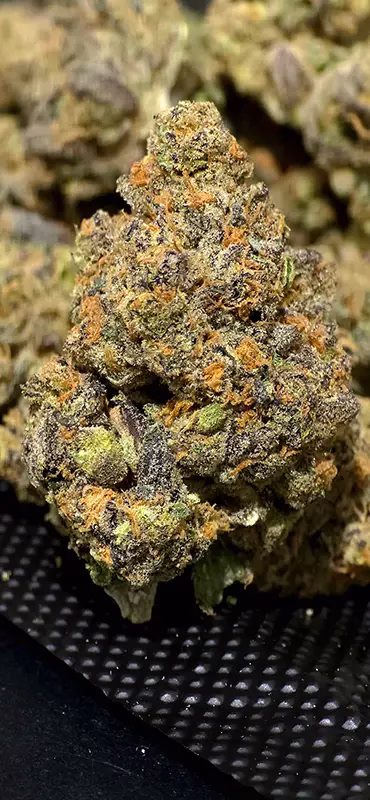 Purple Panty Dropper - Indica - High Potency THCa Flower - 37.46% @ HighHippy.com - FREE OVERNIGHT SHIPPING!