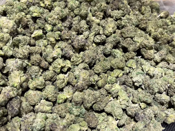 Runtz X Alien Mintz - Hybrid Strain - THCa Smalls - 29.24% @ HighHippy.com
